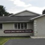 Ohio Veterinary Dental Service