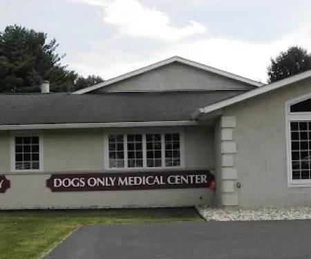 Ohio Veterinary Dental Service