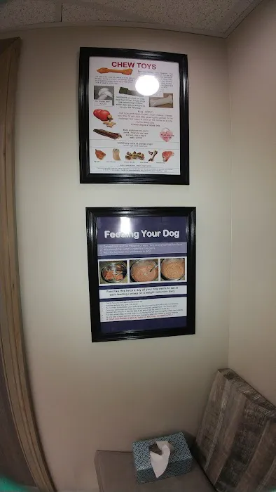 Dogs Only Medical Center Picture 3