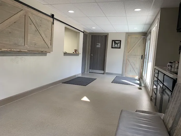 Dogs Only Medical Center Picture 1
