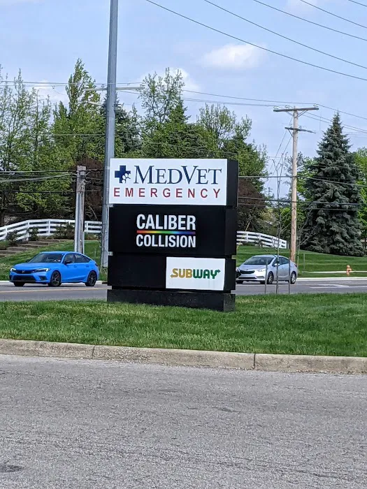 MedVet New Albany Picture 3