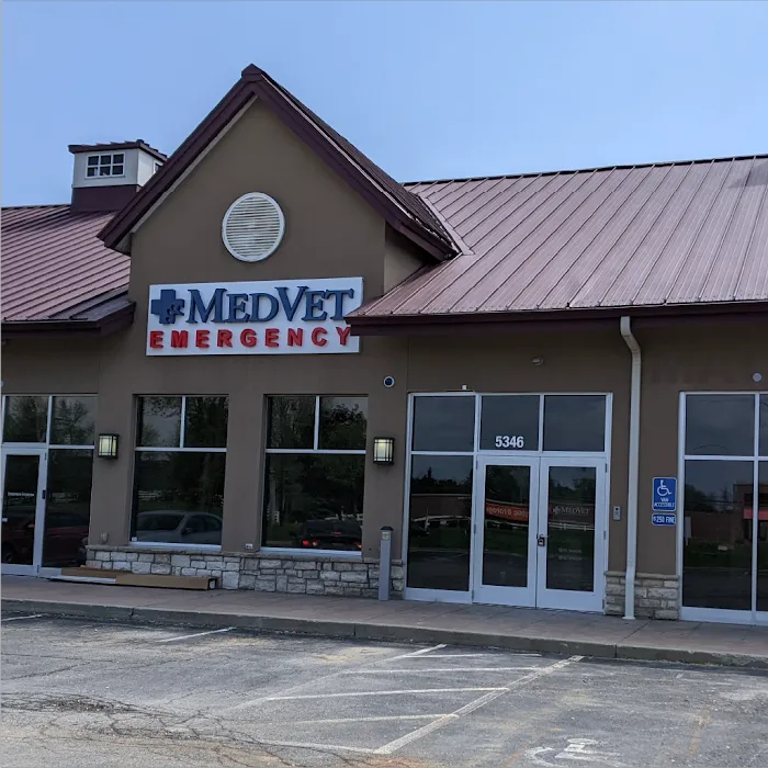 MedVet New Albany Picture 10