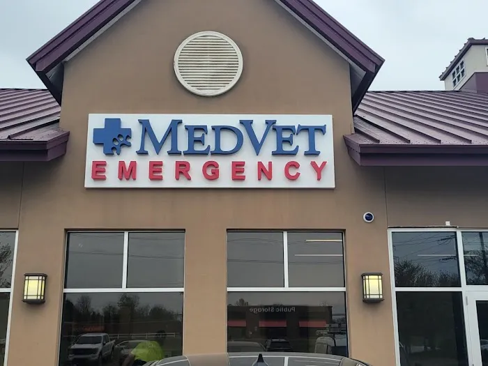 MedVet New Albany Picture 9