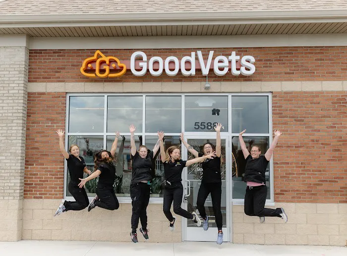GoodVets New Albany Picture 4