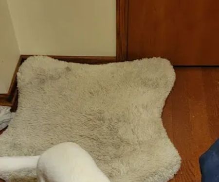 Pet Medical Center Of Westerville
