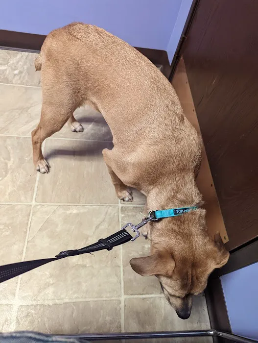 Pet Medical Center Of Westerville Picture 5