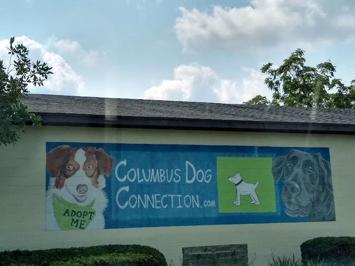 Columbus Dog Connection Picture 5