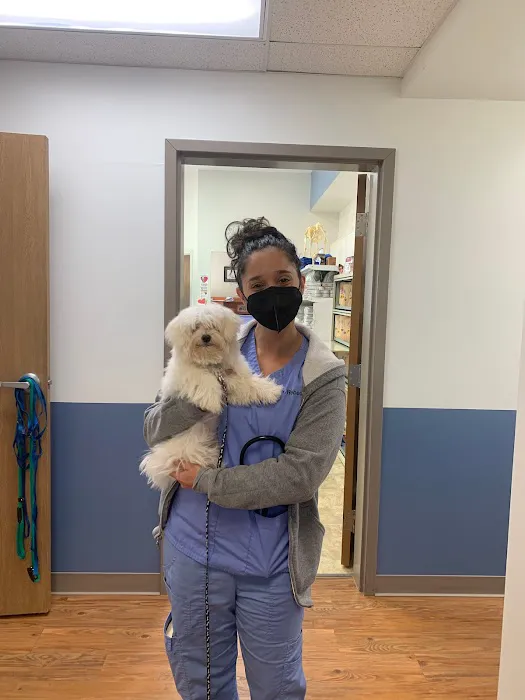 Easton Animal Hospital Picture 6