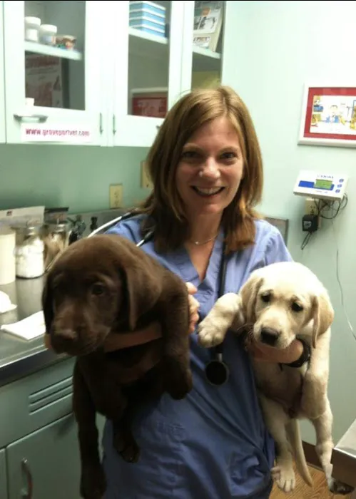 Easton Animal Hospital Picture 7