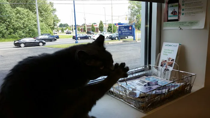 Easton Animal Hospital Picture 1