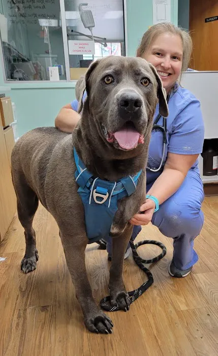 Easton Animal Hospital Picture 9