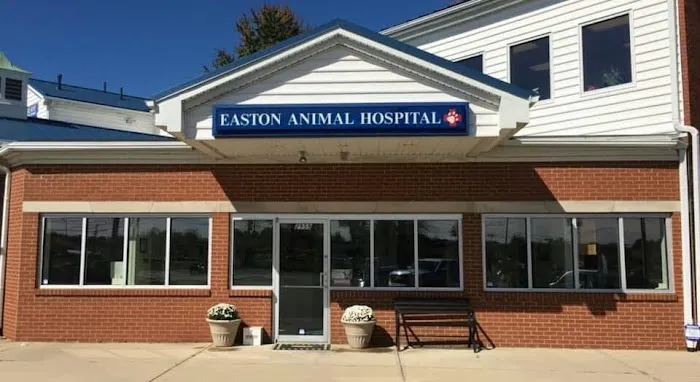 Easton Animal Hospital Picture 5