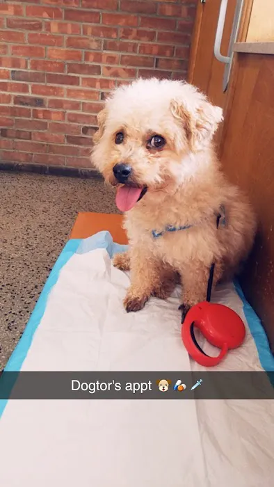 Red Maples Veterinary Clinic Picture 5