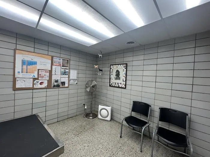 Red Maples Veterinary Clinic Picture 8