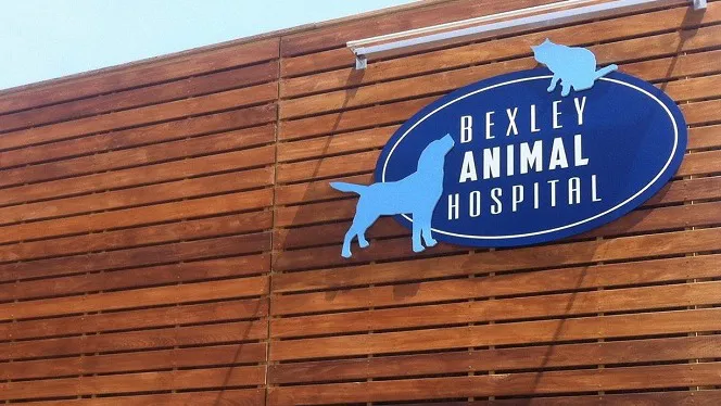 Bexley Animal Hospital Picture 1