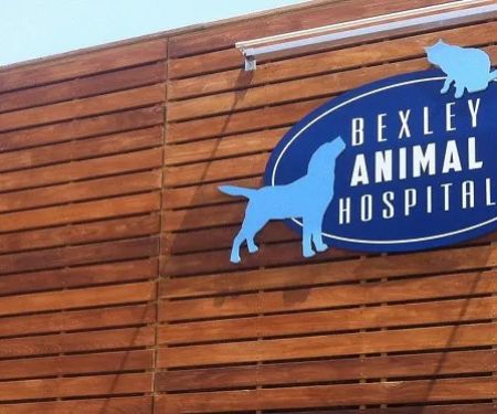 Bexley Animal Hospital