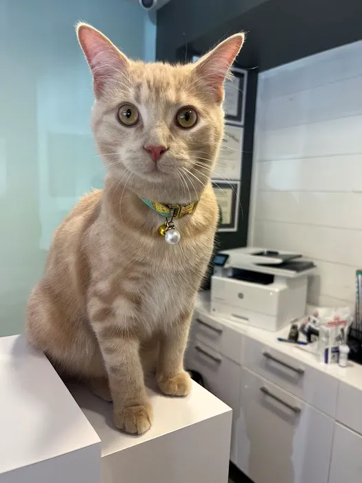 Bexley Animal Hospital Picture 8