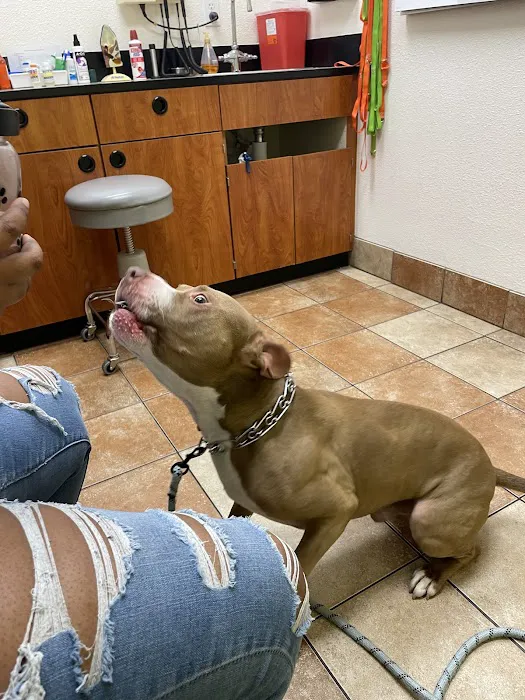 Banfield Pet Hospital Picture 7