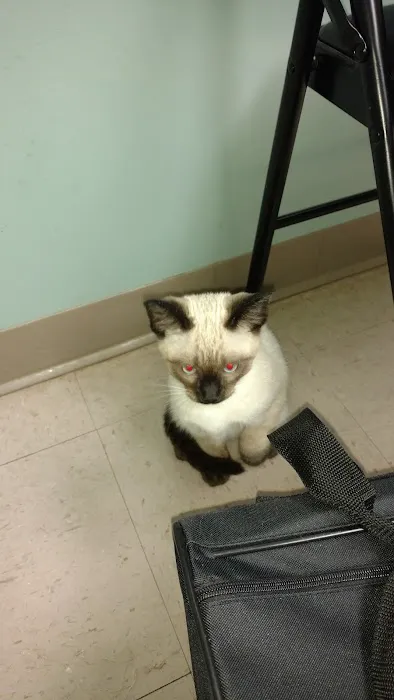 Town & Country Veterinary Picture 7