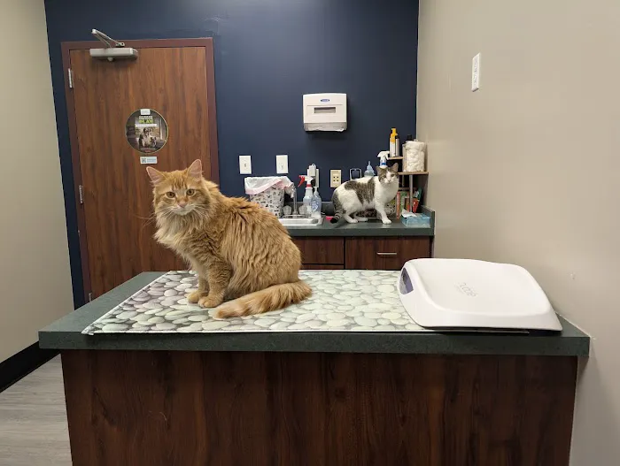 Fredericktown Veterinary Clinic Picture 2