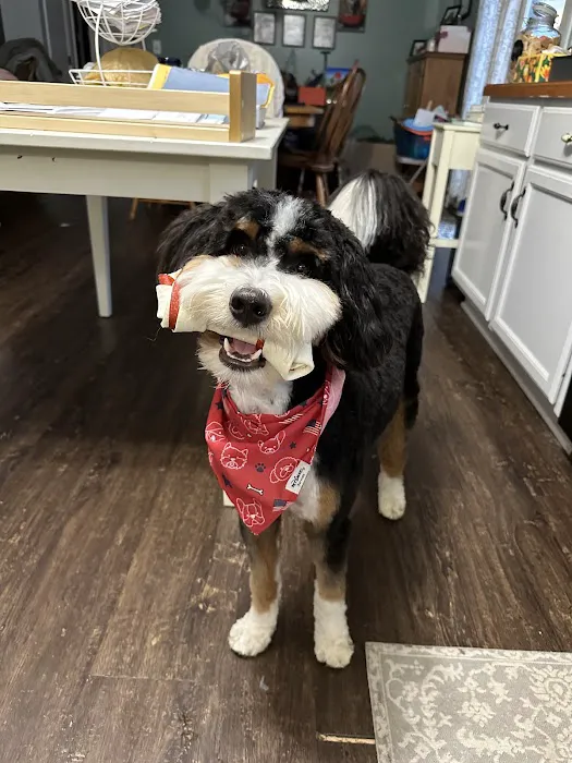 Danville Veterinary Clinic Picture 1