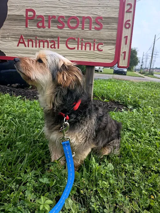 Parsons Animal Clinic Picture 8