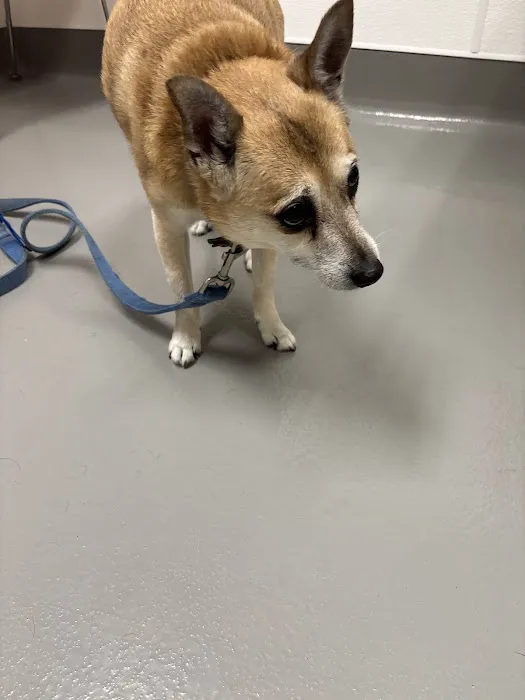 Columbus Humane Essential Care Center Picture 1