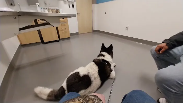 Columbus Humane Essential Care Center Picture 7