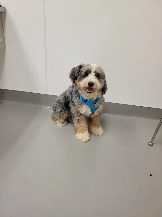 Columbus Humane Essential Care Center Picture 4