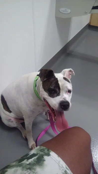 Columbus Humane Essential Care Center Picture 6