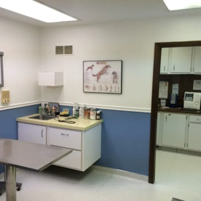 Great Southern Animal Hospital Picture 1