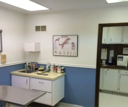 Great Southern Animal Hospital