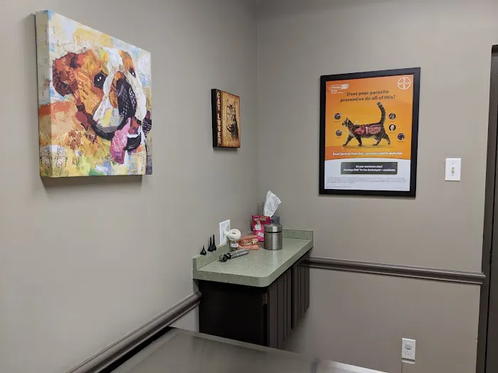 German Village Veterinary Hospital Picture 5