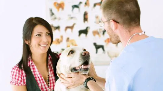 East Columbus Veterinary Hospital Picture 4
