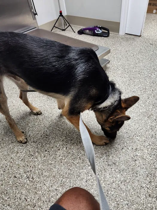 East Columbus Veterinary Hospital Picture 8