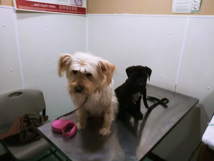 East Columbus Veterinary Hospital Picture 2