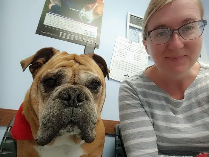 Clearfork Veterinary Hospital Picture 8
