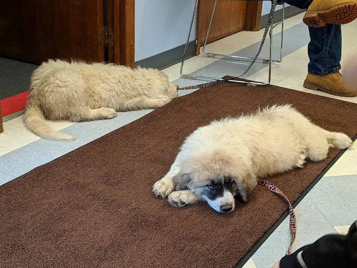 Clearfork Veterinary Hospital Picture 1