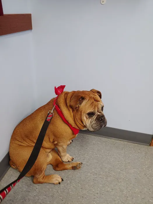 Clearfork Veterinary Hospital Picture 6