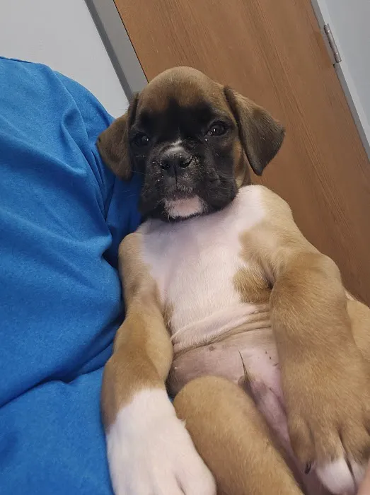 Hartschuh Veterinary Services Picture 6