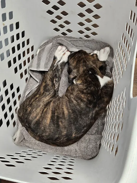 Hartschuh Veterinary Services Picture 8