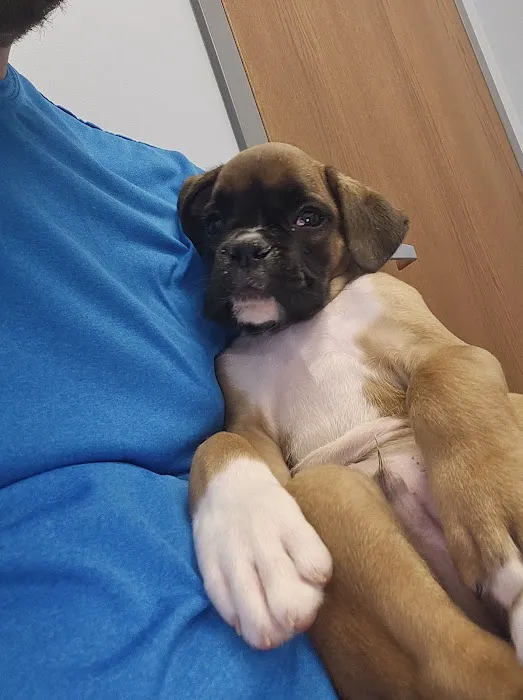 Hartschuh Veterinary Services Picture 7