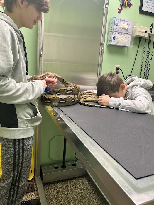 Bellevue Animal Hospital Picture 7