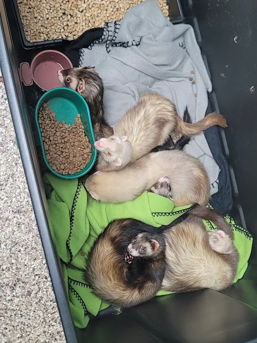 Bellevue Animal Hospital Picture 4