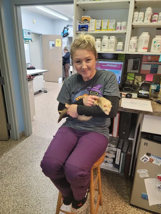 Bellevue Animal Hospital Picture 6