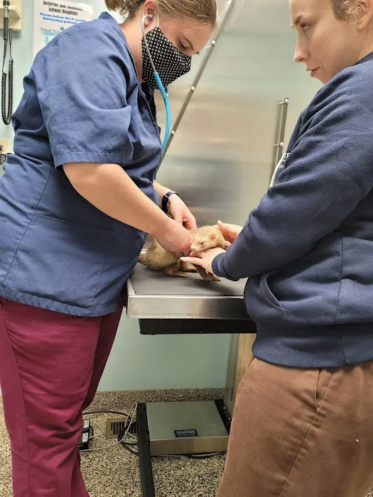 Bellevue Animal Hospital Picture 5
