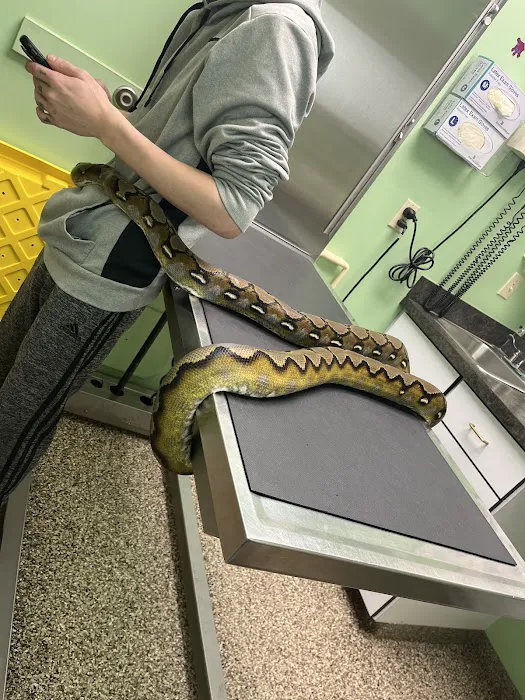 Bellevue Animal Hospital Picture 9