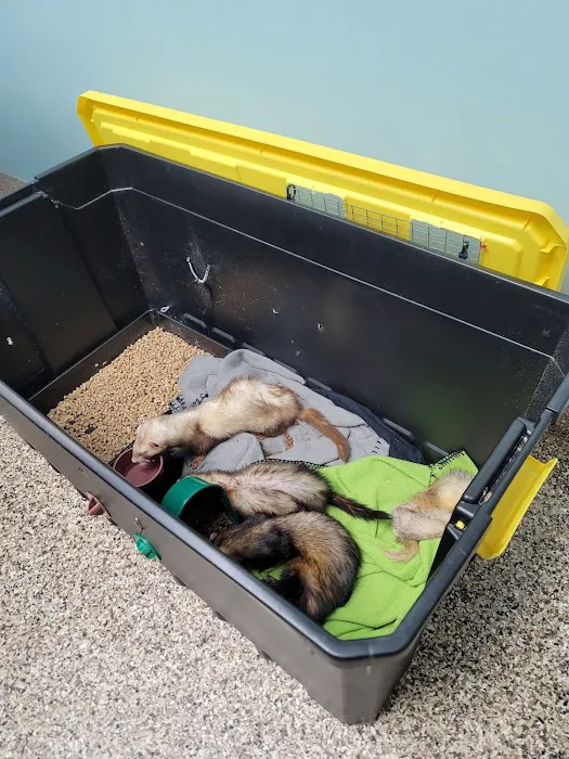 Bellevue Animal Hospital Picture 8