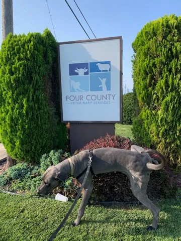 Four County Veterinary Services Picture 2