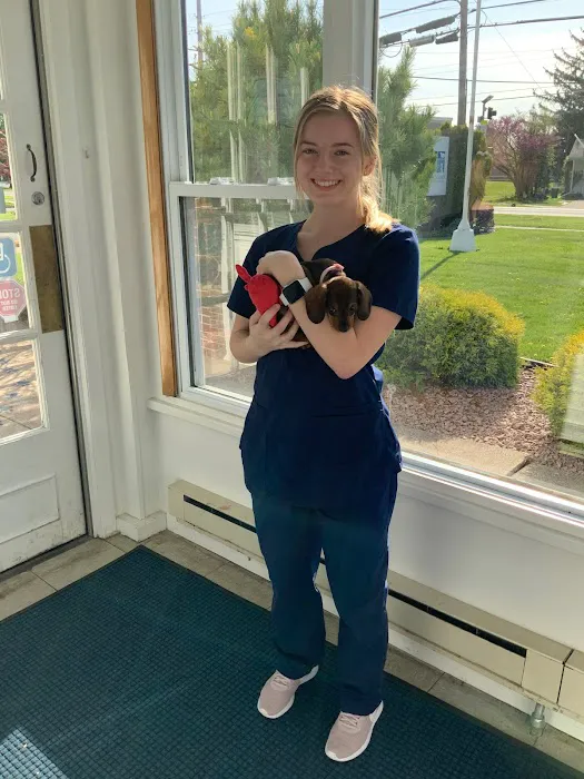 Four County Veterinary Services Picture 7